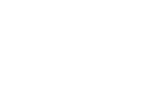 SPECIAL DIETS — Are there any special dietary needs or allergies that must be accommodated?